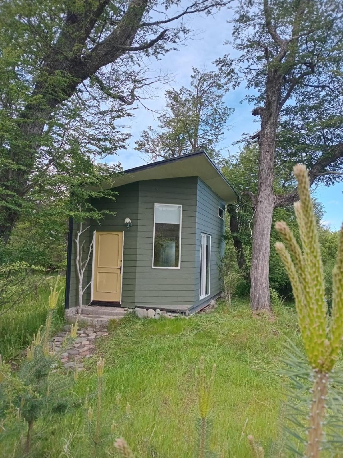 Tiny House Del Bosque Apartment Coyhaique Bagian luar foto