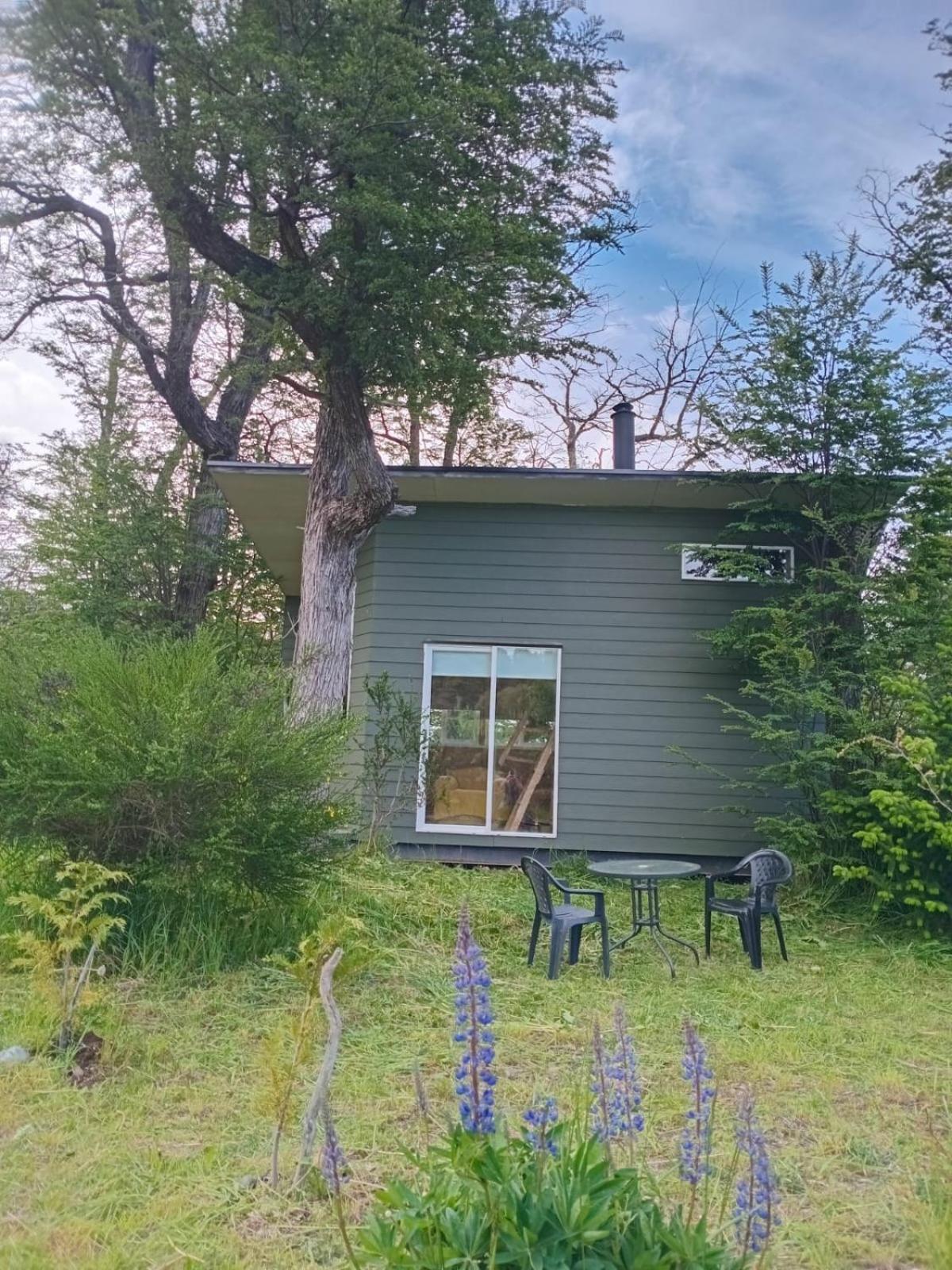 Tiny House Del Bosque Apartment Coyhaique Bagian luar foto